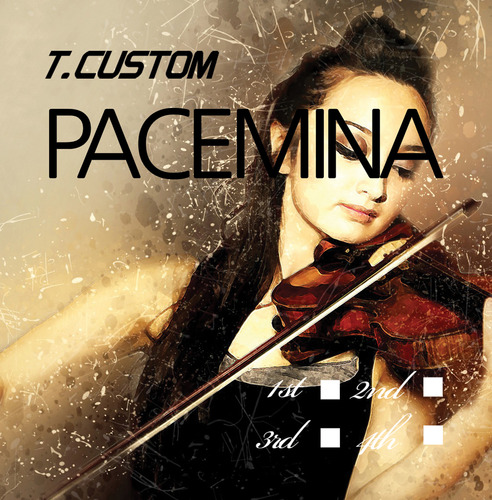 파체미나 바이올린 현세트